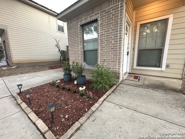 Image 4 of 24 For 6118 Pecan Tree