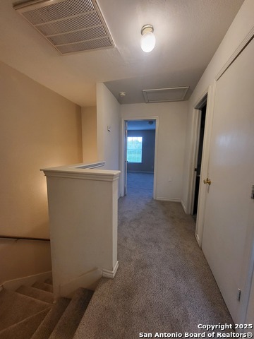 Image 14 of 15 For 10006 Vasso View 4