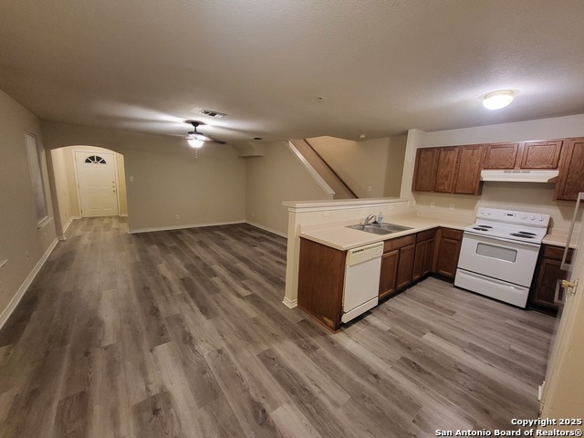 Image 3 of 15 For 10006 Vasso View 4