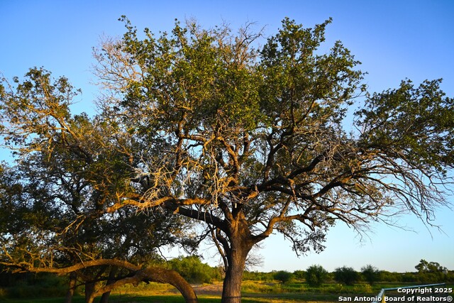 Listing photo id 27 for Lot 24 County Road 2500