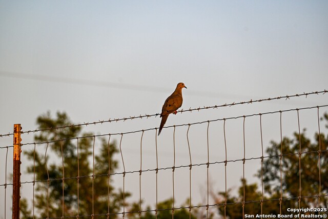 Listing photo id 28 for Lot 24 County Road 2500