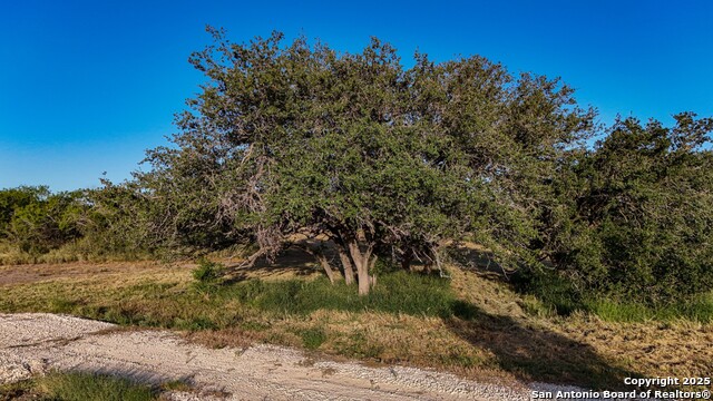 Listing photo id 64 for Lot 24 County Road 2500