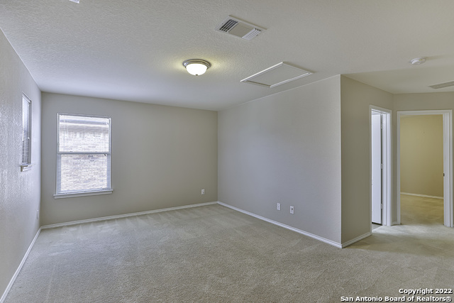 Image 10 of 22 For 500 Dusty Emerald