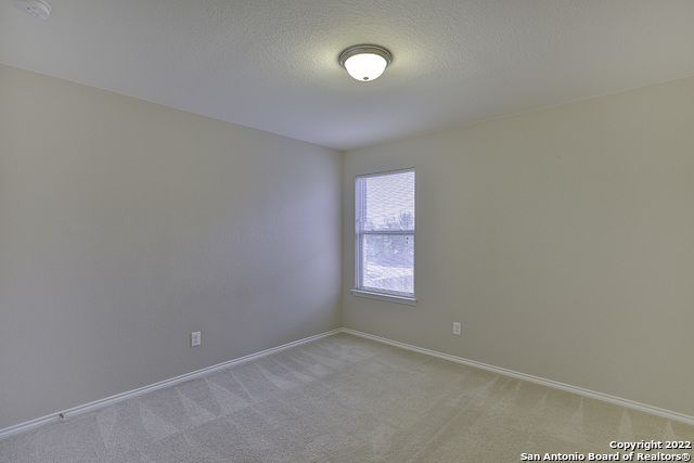 Image 19 of 22 For 500 Dusty Emerald