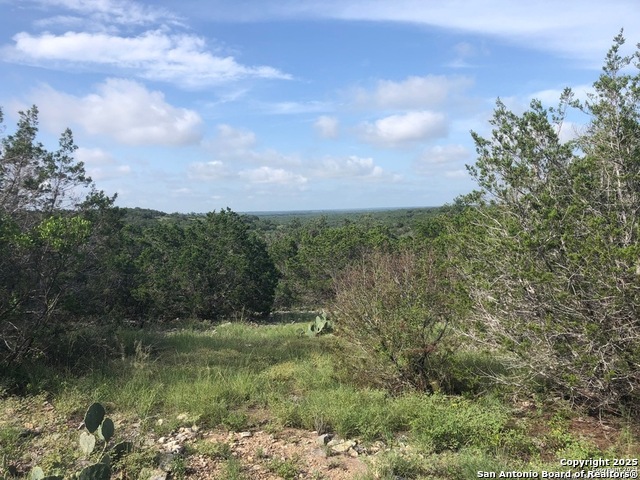 Details for Lot 83 County Road 243, Hondo, TX 78861