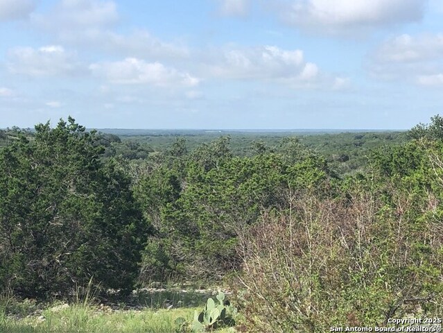 Image 4 of 7 For Lot 83 County Road 243