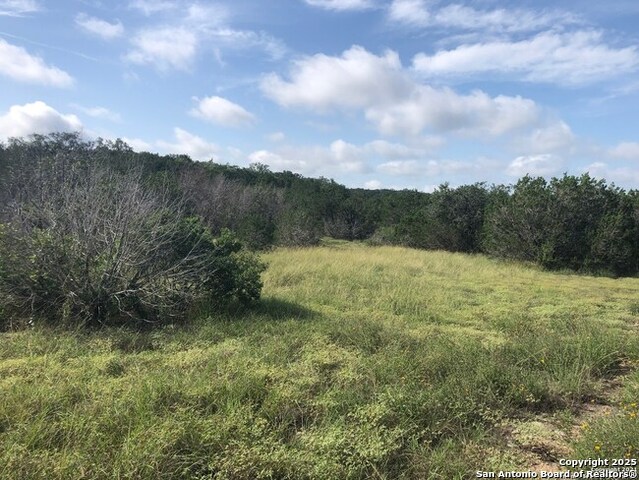 Image 5 of 7 For Lot 83 County Road 243