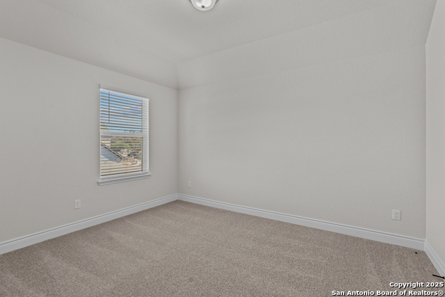 Image 24 of 32 For 11475 Buffalo Bill