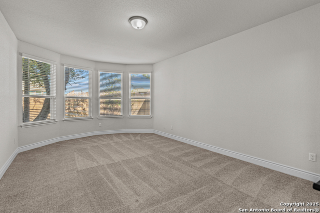 Image 27 of 32 For 11475 Buffalo Bill