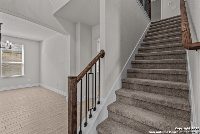 Image 31 of 32 For 11475 Buffalo Bill