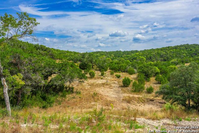 Image 10 of 43 For 5169 State Highway 173