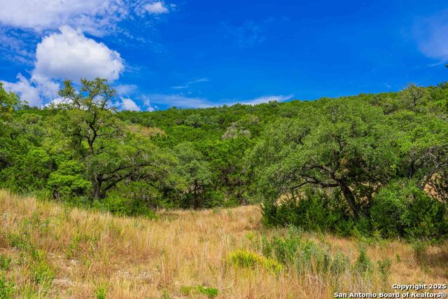 Image 12 of 43 For 5169 State Highway 173