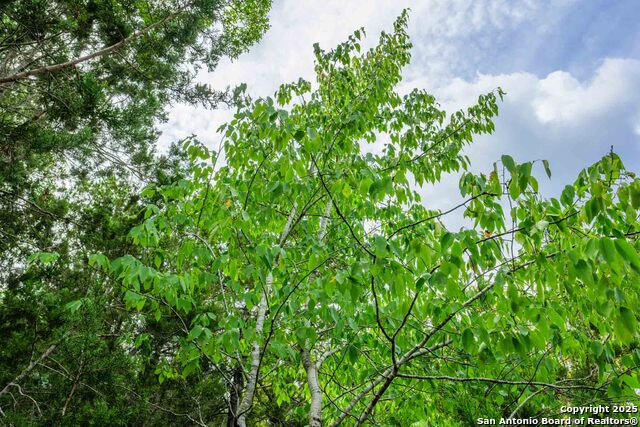 Image 18 of 43 For 5169 State Highway 173