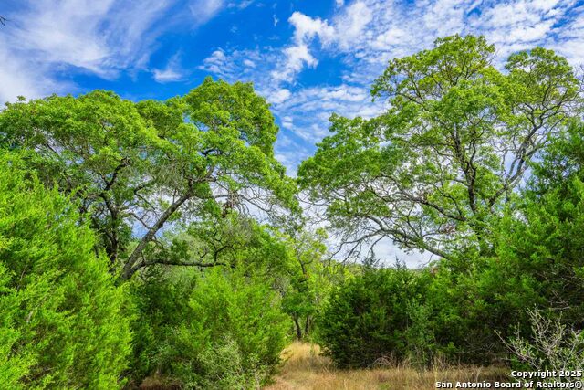 Image 19 of 43 For 5169 State Highway 173