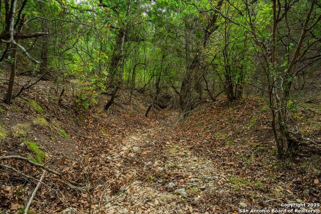 Image 20 of 43 For 5169 State Highway 173