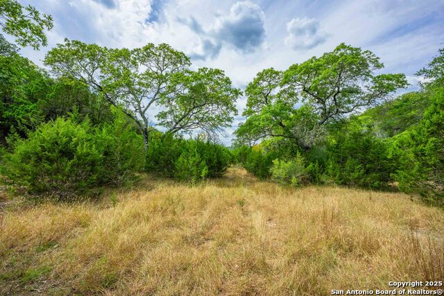 Image 29 of 43 For 5169 State Highway 173