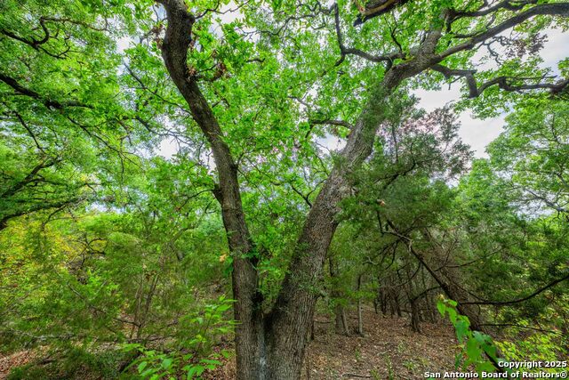 Image 31 of 43 For 5169 State Highway 173