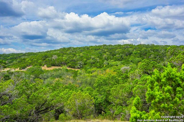 Image 32 of 43 For 5169 State Highway 173