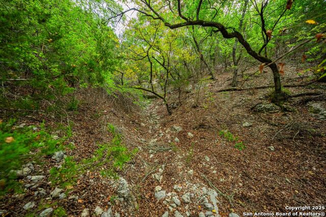 Image 33 of 43 For 5169 State Highway 173