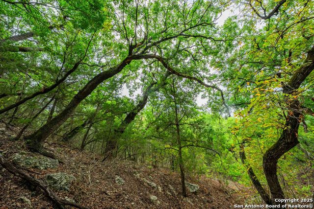 Image 35 of 43 For 5169 State Highway 173