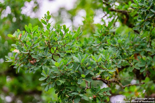 Image 36 of 43 For 5169 State Highway 173