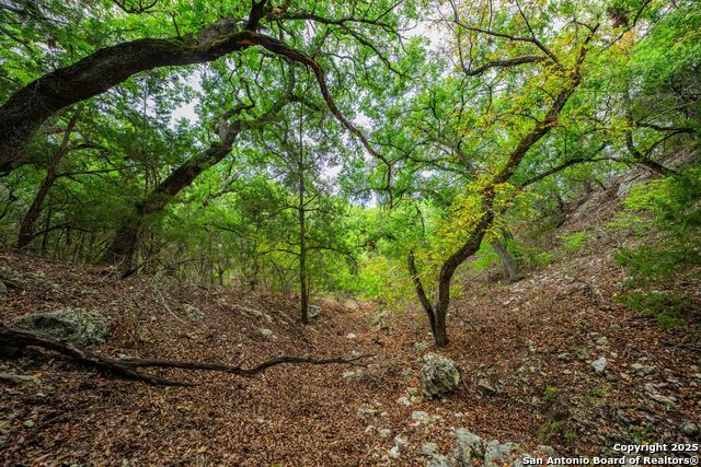 Image 37 of 43 For 5169 State Highway 173