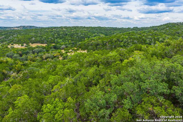 Image 4 of 43 For 5169 State Highway 173