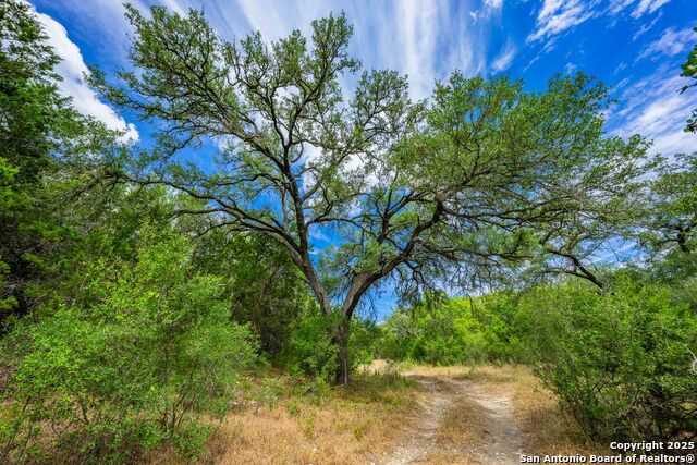 Image 9 of 43 For 5169 State Highway 173