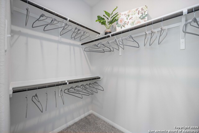 Listing photo id 16 for 8649 Merlin Cove