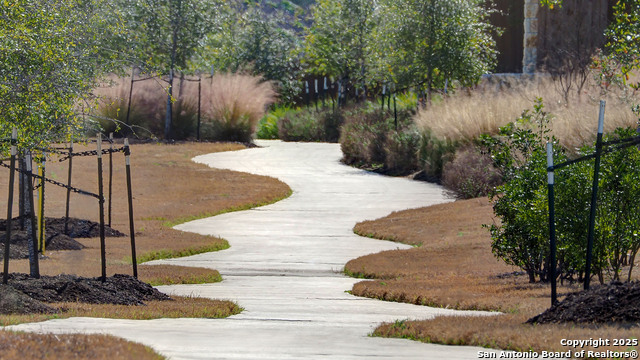 Listing photo id 4 for 3121 Bee Hill