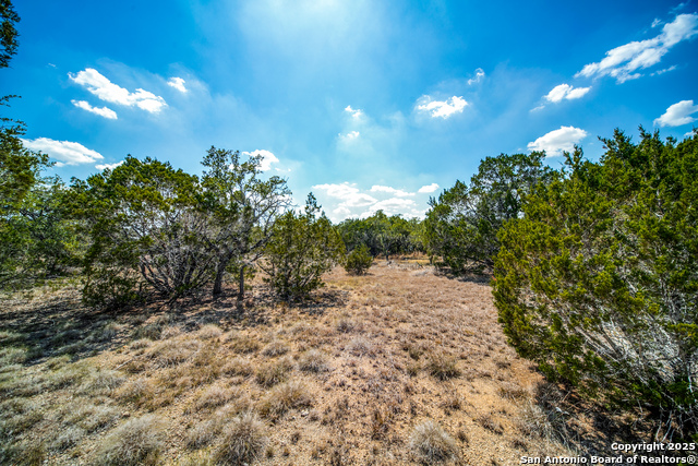 Listing photo id 2 for 972 Scarlett Ridge