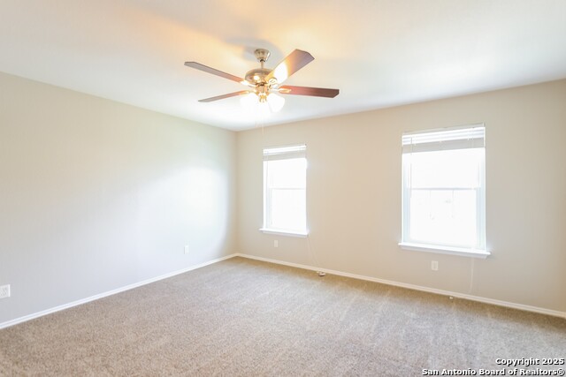 Image 4 of 10 For 3618 Calico Cor