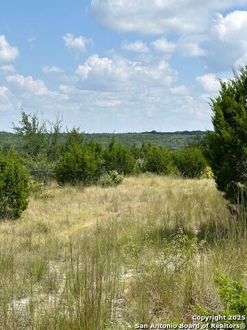 Image 8 of 11 For Tbd Lot 1 Soaring Eagle