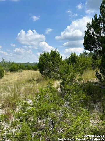 Image 9 of 11 For Tbd Lot 1 Soaring Eagle