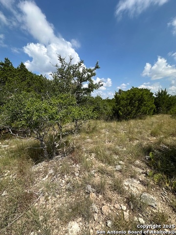 Image 4 of 8 For Tbd Lot 2 Soaring Eagle