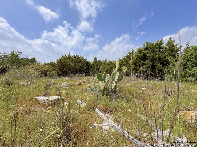 Image 2 of 8 For Tbd Lot 3 Royal Eagle