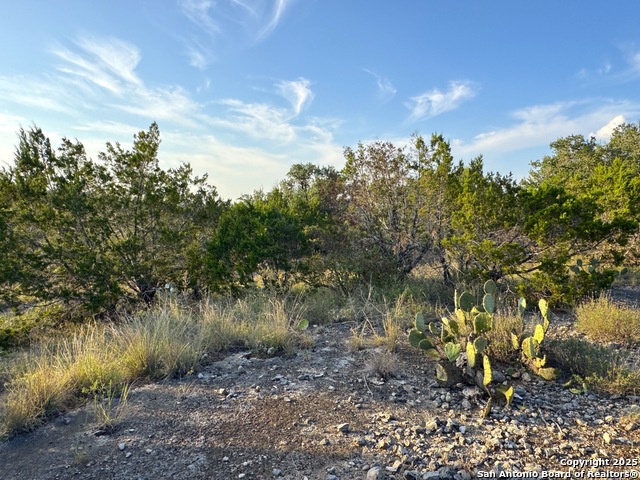 Image 3 of 8 For Tbd Lot 3 Royal Eagle