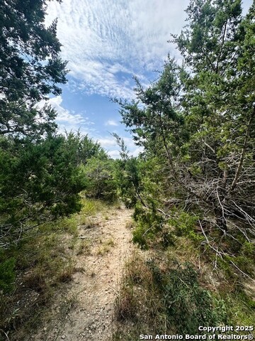 Image 6 of 8 For Tbd Lot 3 Royal Eagle