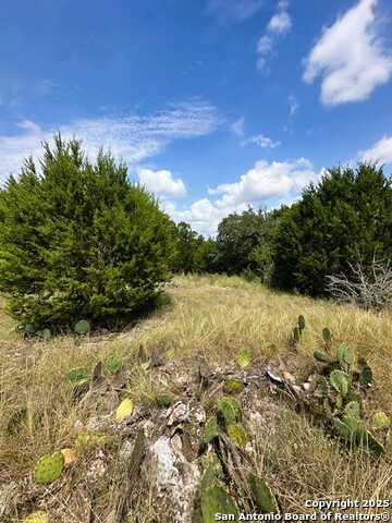 Image 7 of 8 For Tbd Lot 3 Royal Eagle