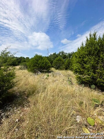 Image 8 of 8 For Tbd Lot 3 Royal Eagle