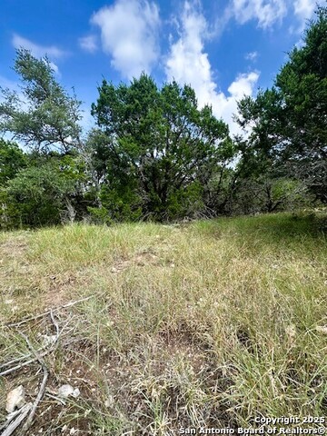 Image 8 of 14 For Tbd Lot 4 Royal Eagle