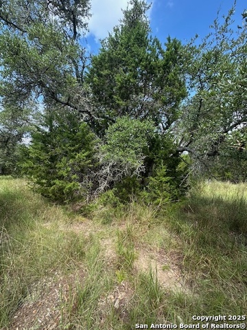 Image 9 of 14 For Tbd Lot 4 Royal Eagle