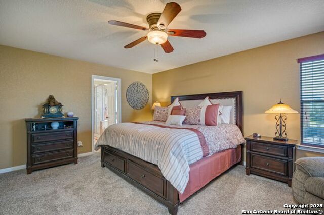 Image 14 of 34 For 245 Mustang Run