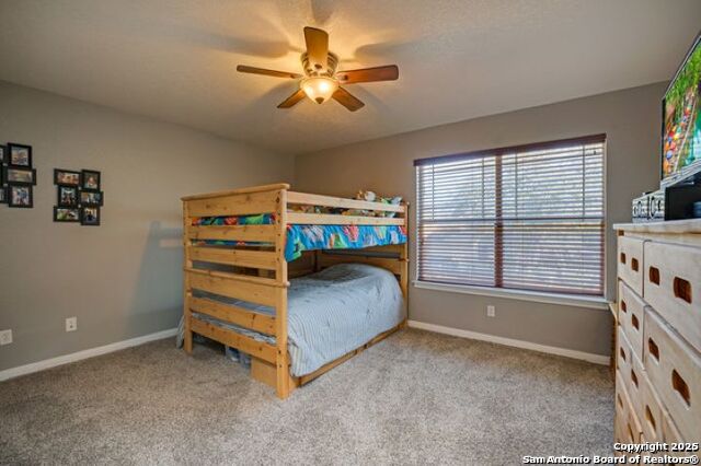 Image 18 of 34 For 245 Mustang Run