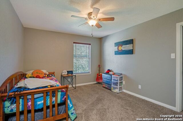 Image 19 of 34 For 245 Mustang Run