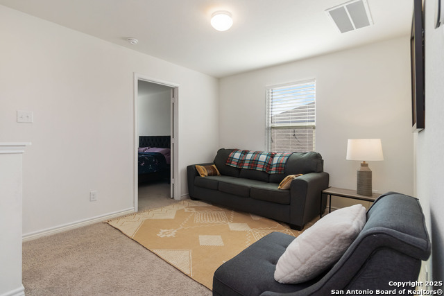 Image 14 of 28 For 11538 Hocus Pocus