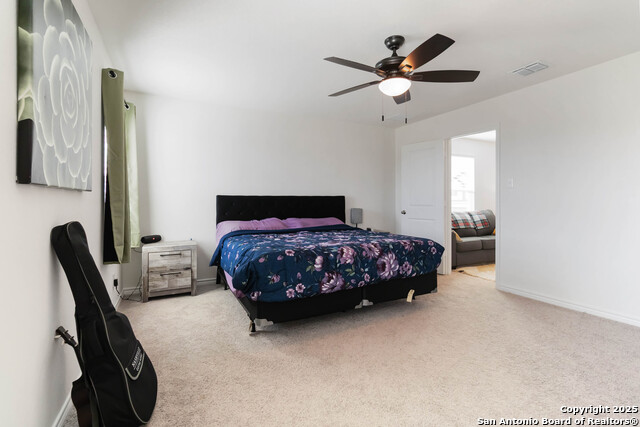 Image 17 of 28 For 11538 Hocus Pocus