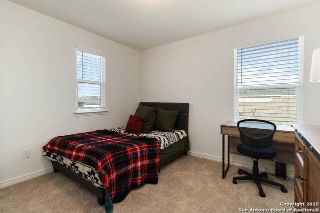 Image 23 of 28 For 11538 Hocus Pocus