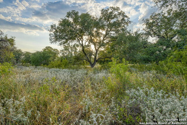 Image 29 of 35 For 2605 Schuttig Road