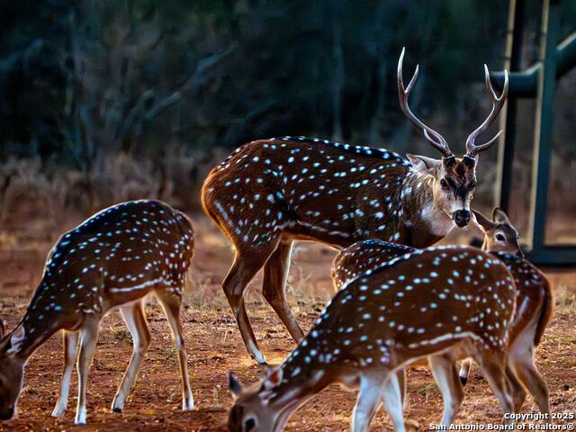 Listing photo id 58 for 10927 Fm 2146